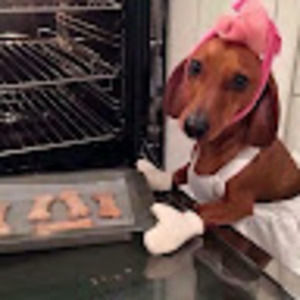 Meet your Posher, Bella